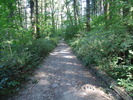 photo thumbnail #9
