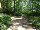 photo thumbnail #12