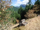 photo thumbnail #15