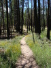 photo thumbnail #6