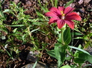 photo thumbnail #5