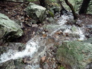 photo thumbnail #13