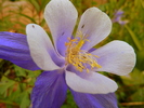 photo thumbnail #12