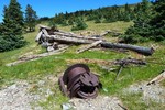 photo thumbnail #10