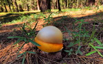 photo thumbnail #3