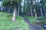 2010-08-17 :1: Wheeler Peak #62 - #90 Shuttle :: gpsjoe