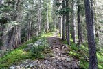 photo thumbnail #8