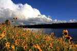 photo thumbnail #12