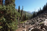 photo thumbnail #2