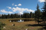 photo thumbnail #6