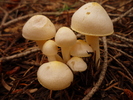 photo thumbnail #5