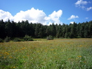photo thumbnail #10