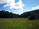 photo thumbnail #11