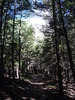 photo thumbnail #15