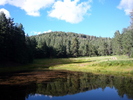 photo thumbnail #1