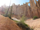 photo thumbnail #15
