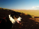 photo thumbnail #4