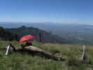 photo thumbnail #15