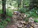 photo thumbnail #1