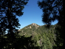 photo thumbnail #1