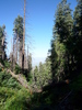 photo thumbnail #7