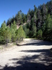 photo thumbnail #14