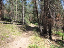 photo thumbnail #9