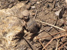 photo thumbnail #11