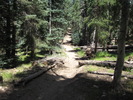 photo thumbnail #12