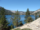 photo thumbnail #3