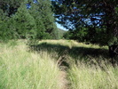 photo thumbnail #13