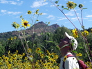 photo thumbnail #15