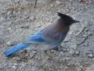 photo thumbnail #9