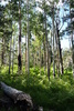 photo thumbnail #9