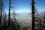 photo thumbnail #12