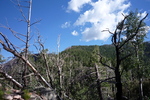 photo thumbnail #13