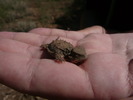 photo thumbnail #7