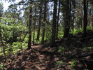 photo thumbnail #1