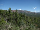 photo thumbnail #9