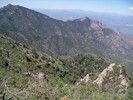 photo thumbnail #8