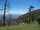 photo thumbnail #11