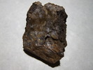 photo thumbnail #8