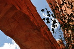 photo thumbnail #11