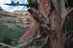 photo thumbnail #12