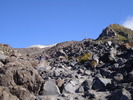 recent photo