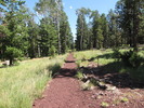 photo thumbnail #2