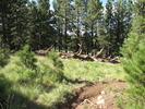 photo thumbnail #10