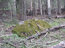 photo thumbnail #11