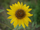 photo thumbnail #3