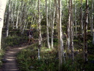 photo thumbnail #2